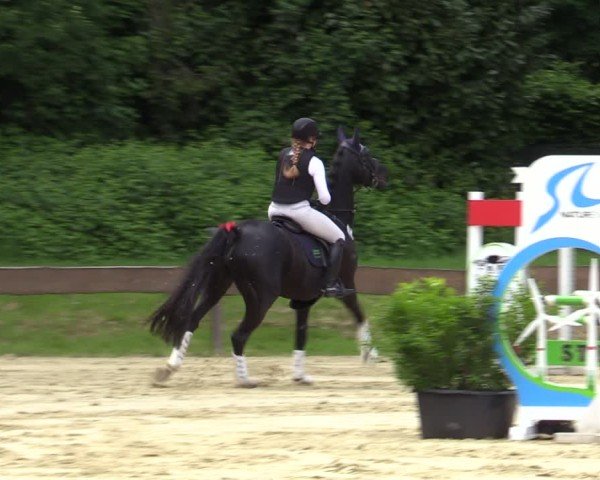 Reitturnier Wesel-Obrighoven 2025