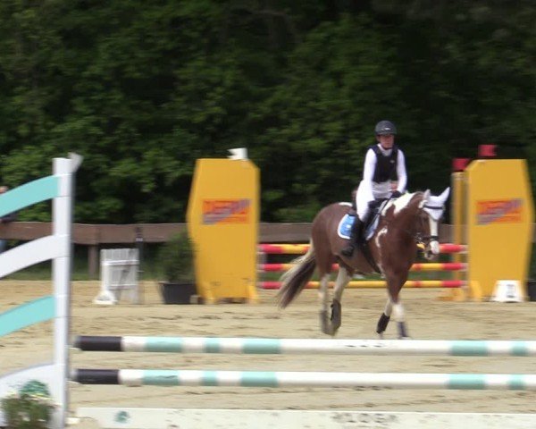 Reitturnier Wesel-Obrighoven 2025