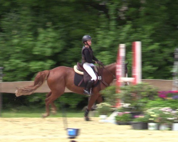 Reitturnier Wesel-Obrighoven 2025