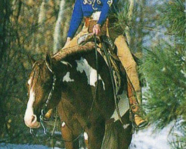 Pferd Fleet Machine (Paint Horse, 1991, von Mr. Norfleet)