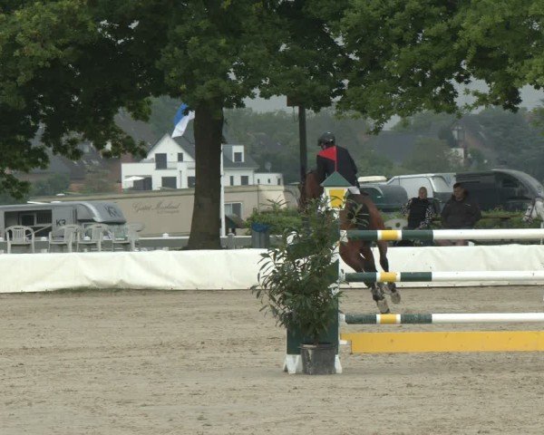 Reitturnier Neuss-Allerheiligen 2025