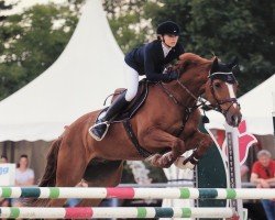 Springpferd Clinton (KWPN (Niederländisches Warmblut), 2007)