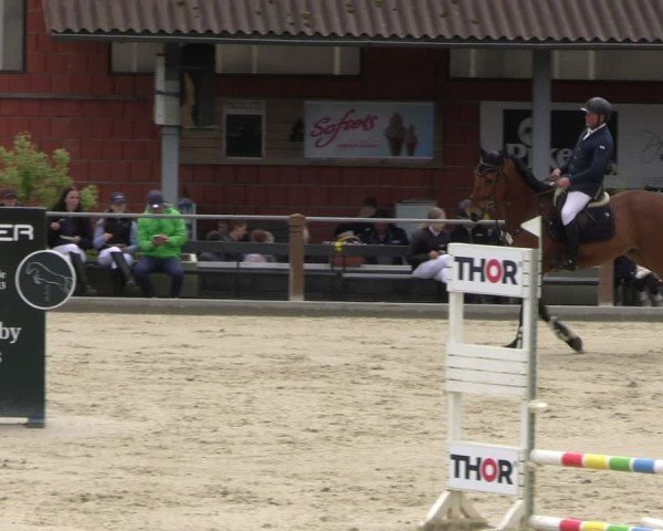 Reitturnier Uder, Reitanlage Kobold 2025