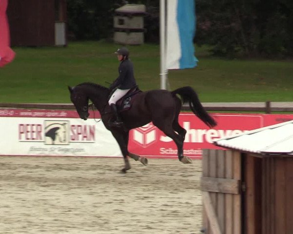 Reitturnier Westergellersen 2021