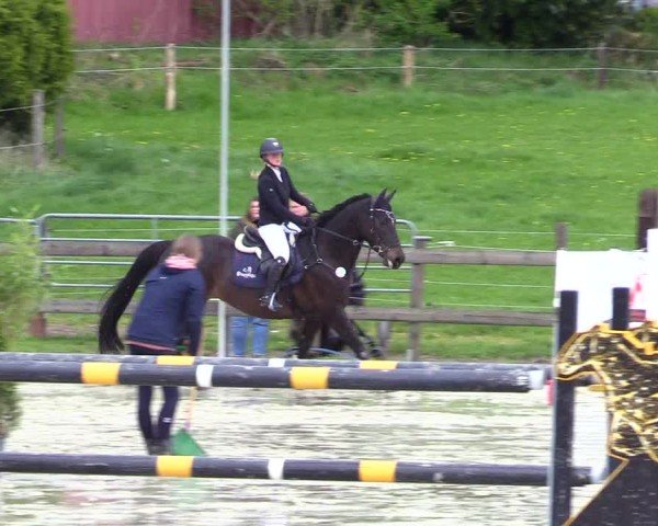 Reitturnier Looperholz 2025