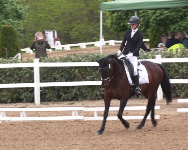 Reitturnier Teupitz 2025