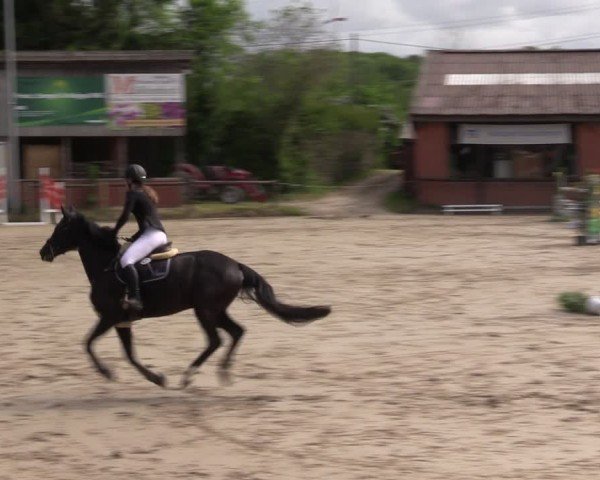 Reitturnier Havixbeck 2025