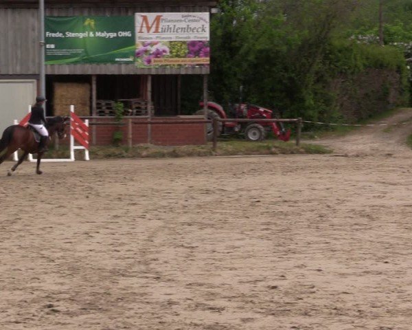 Reitturnier Havixbeck 2025