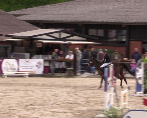 Reitturnier Havixbeck 2025