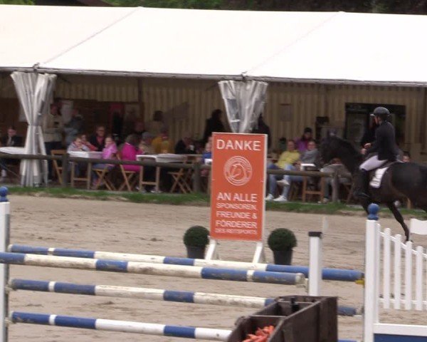 Reitturnier Havixbeck 2025