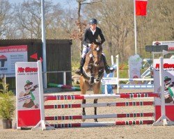Jumper Capitano AJ (Oldenburger, 2020, from Canoso)