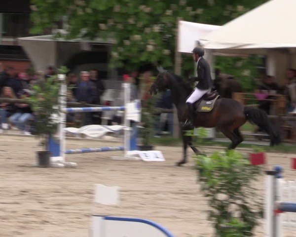 Reitturnier Havixbeck 2025