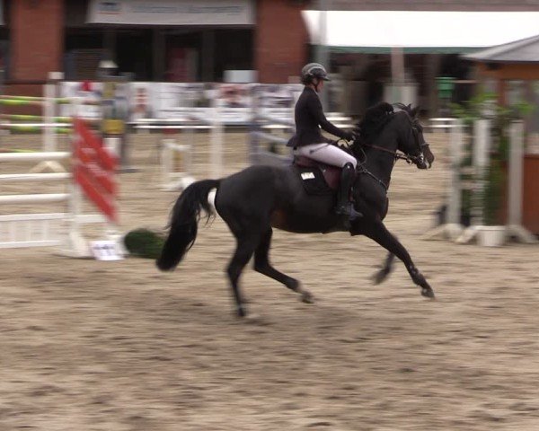 Reitturnier Havixbeck 2025