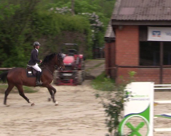 Reitturnier Havixbeck 2025