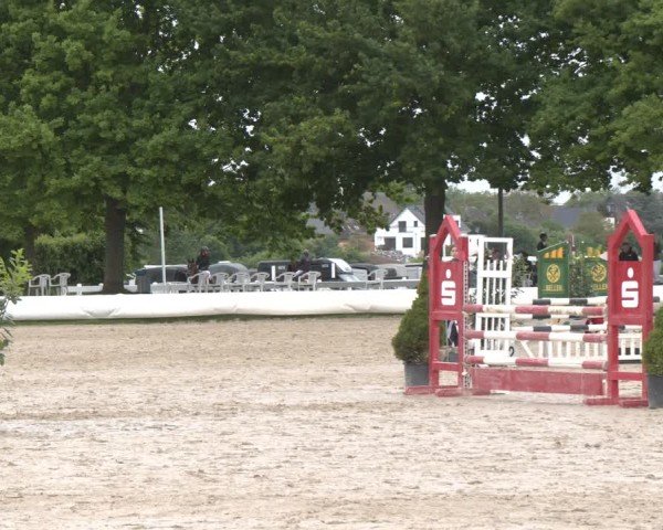 Reitturnier Neuss-Allerheiligen 2025