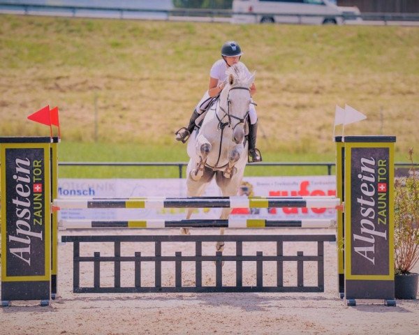 broodmare Lulu XV (Danish Warmblood, 2010, from Luganer)