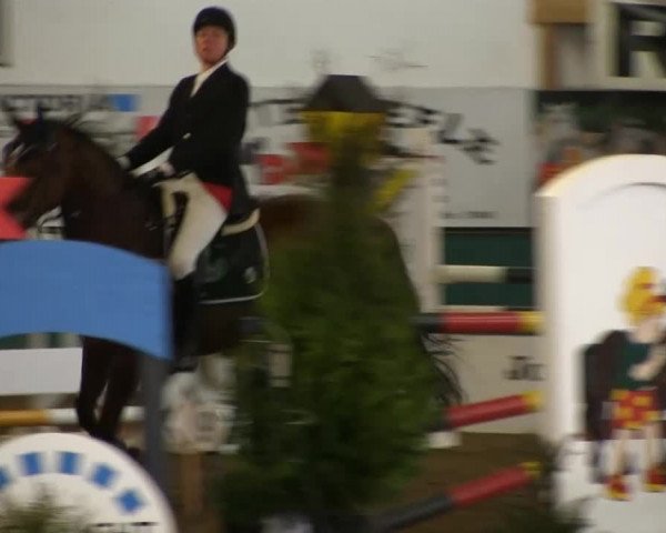 Hallenreitturnier Arnsberg-Voßwinkel 2014