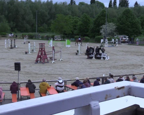 Reitturnier Kamen 2025