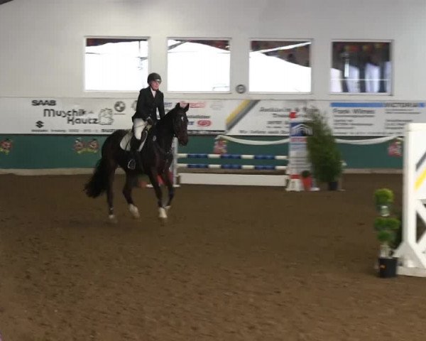 Hallenreitturnier Arnsberg-Voßwinkel 2014