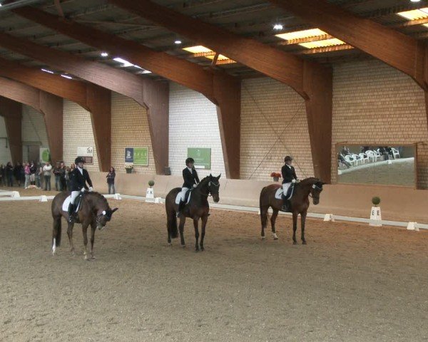 Reitturnier Kamen 2025