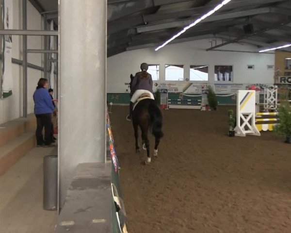 Hallenreitturnier Arnsberg-Voßwinkel 2014