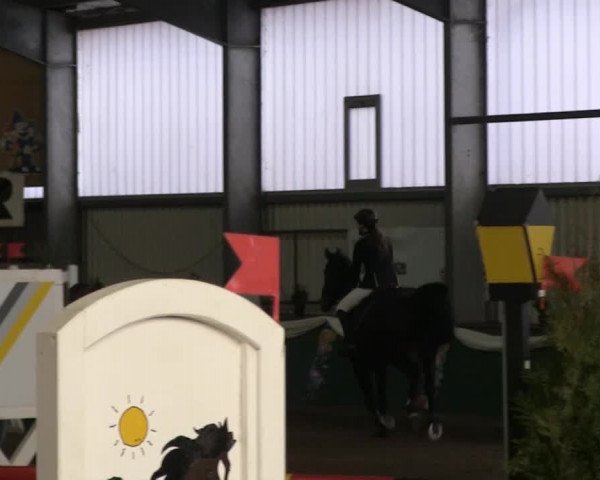 Hallenreitturnier Arnsberg-Voßwinkel 2014