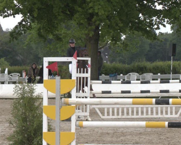 Reitturnier Neuss-Allerheiligen 2025