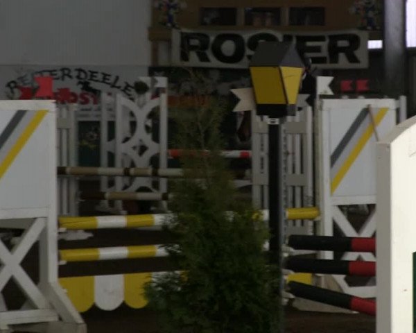 Hallenreitturnier Arnsberg-Voßwinkel 2014