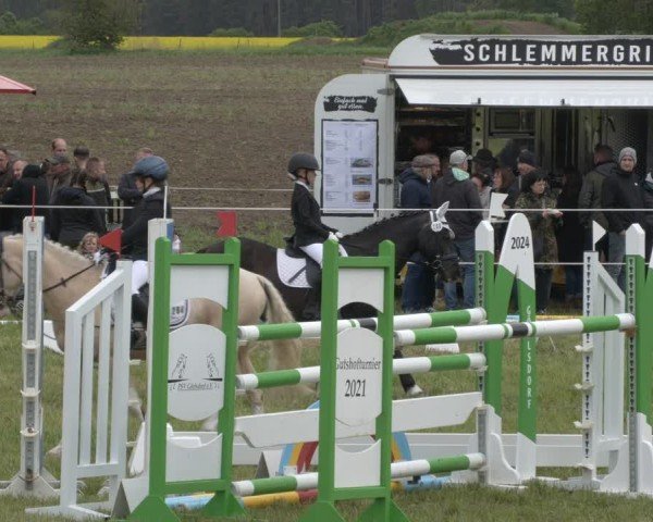 Reitturnier Wehnsdorf 2025
