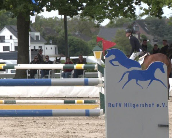 Reitturnier Neuss-Allerheiligen 2025