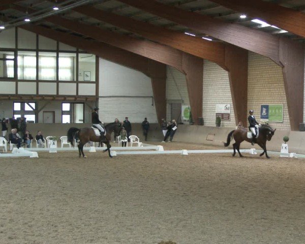 Reitturnier Kamen 2025