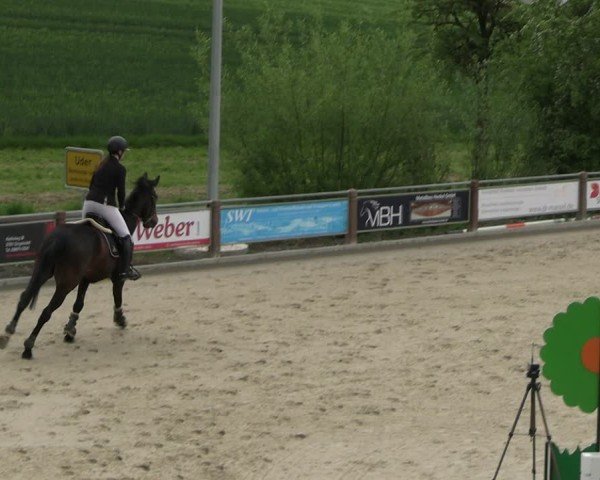 Reitturnier Uder, Reitanlage Kobold 2025