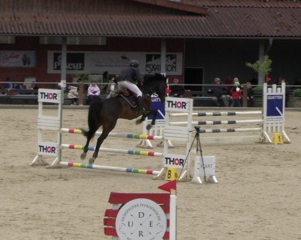 Reitturnier Uder, Reitanlage Kobold 2025