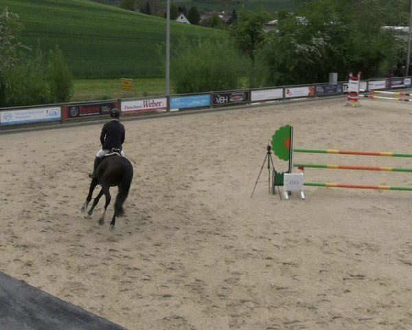 Reitturnier Uder, Reitanlage Kobold 2025