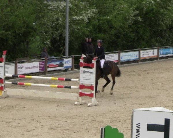 Reitturnier Uder, Reitanlage Kobold 2025