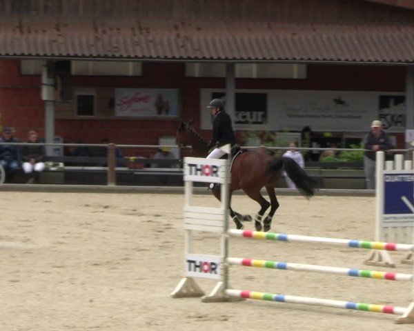 Reitturnier Uder, Reitanlage Kobold 2025