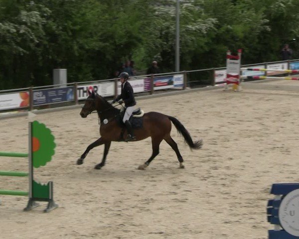 Reitturnier Uder, Reitanlage Kobold 2025