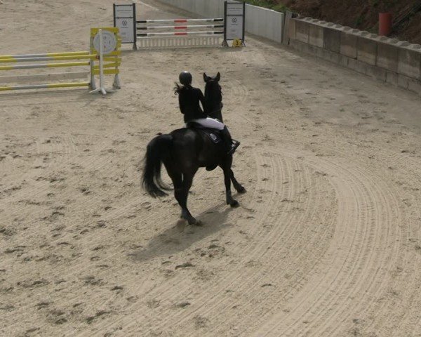 Reitturnier Uder, Reitanlage Kobold 2025