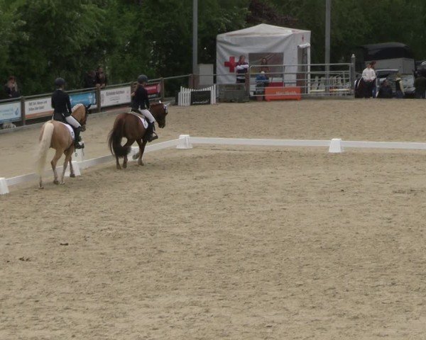 Reitturnier Uder, Reitanlage Kobold 2025