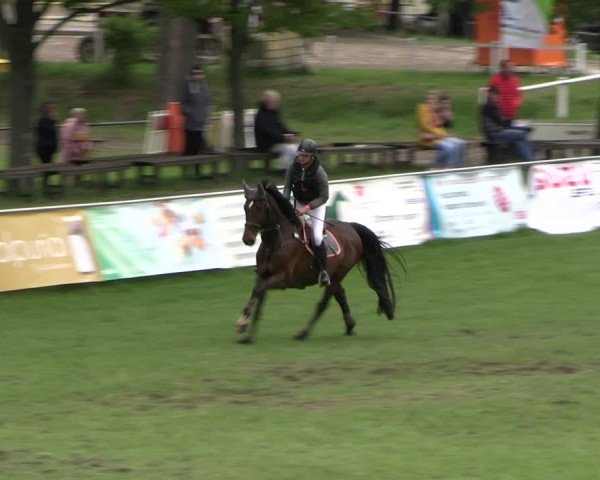 Reitturnier Greppin 2025