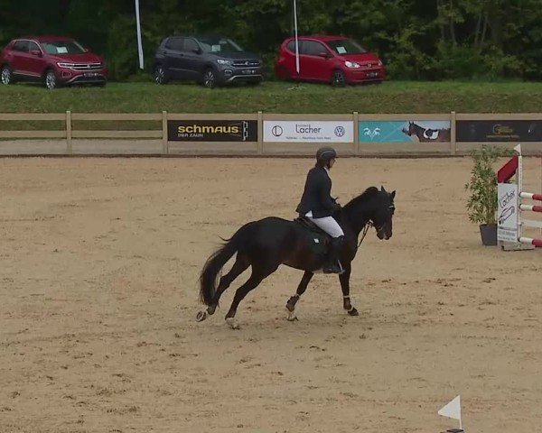 Reitturnier Tiefenhof/Opf. 2025