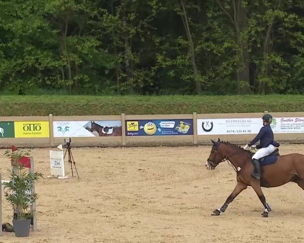 Reitturnier Tiefenhof/Opf. 2025