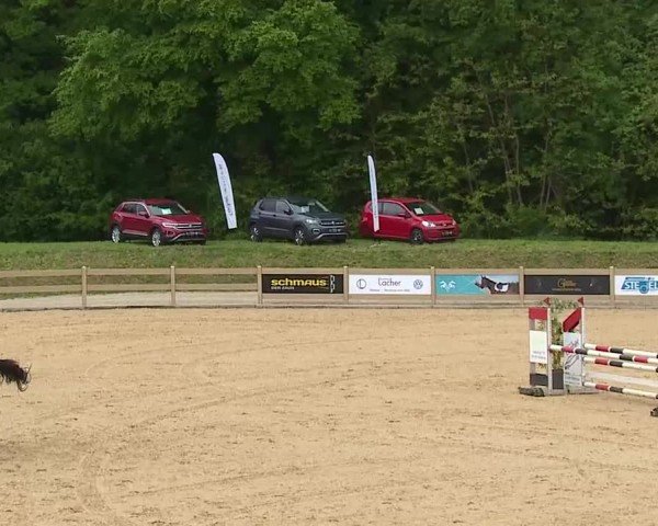 Reitturnier Tiefenhof/Opf. 2025