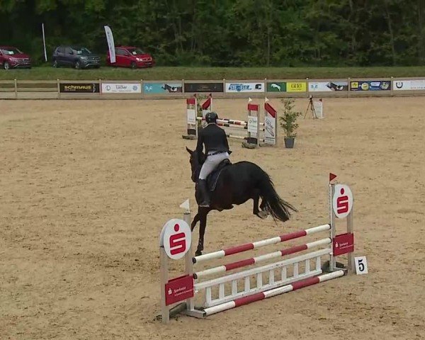 Reitturnier Tiefenhof/Opf. 2025