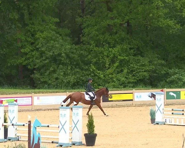 Reitturnier Tiefenhof/Opf. 2025