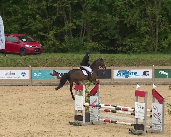 Reitturnier Tiefenhof/Opf. 2025