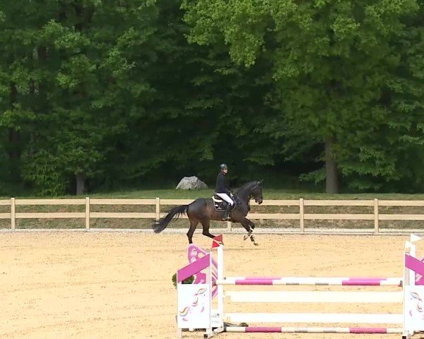 Reitturnier Tiefenhof/Opf. 2025