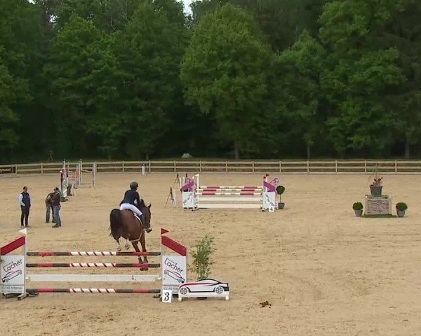 Reitturnier Tiefenhof/Opf. 2025