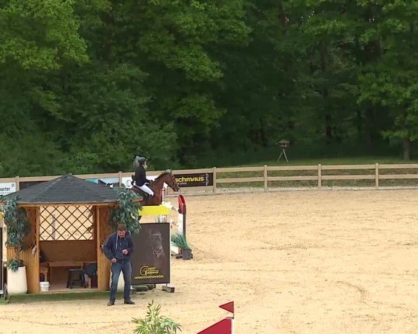 Reitturnier Tiefenhof/Opf. 2025