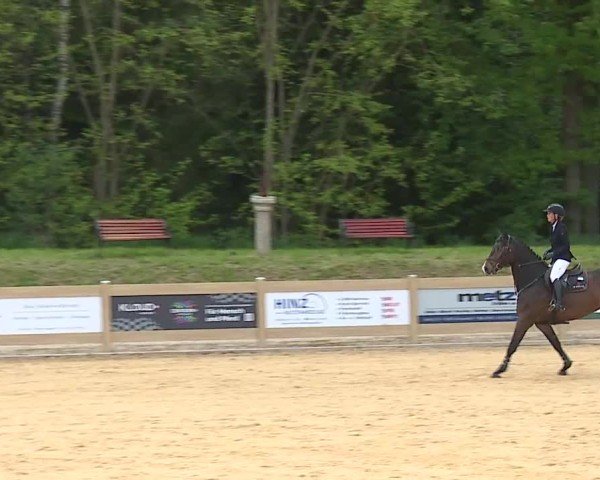 Reitturnier Tiefenhof/Opf. 2025